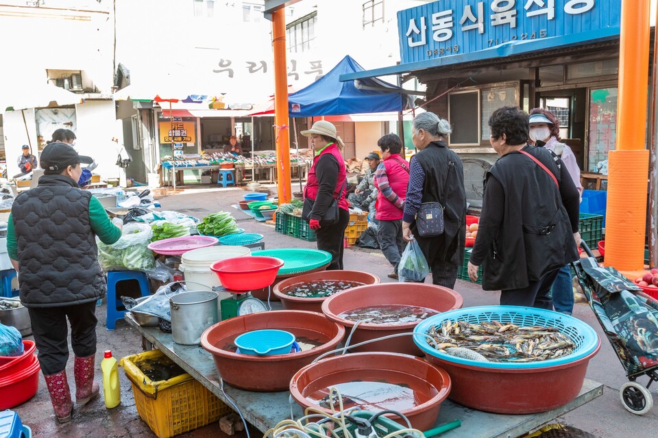 청도의 추어탕이 될 미꾸라지와 민물고기들.