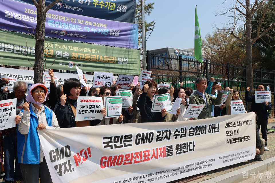 농촌진흥청의 환경위해성 심사 통과 이후 식품의약품안전처의 최종 승인 절차를 앞둔 상황에서 시민사회단체들이 지난 11일 충북 청주시 식약처 앞에서 GMO 감자 수입 반대 기자회견을 열었다.