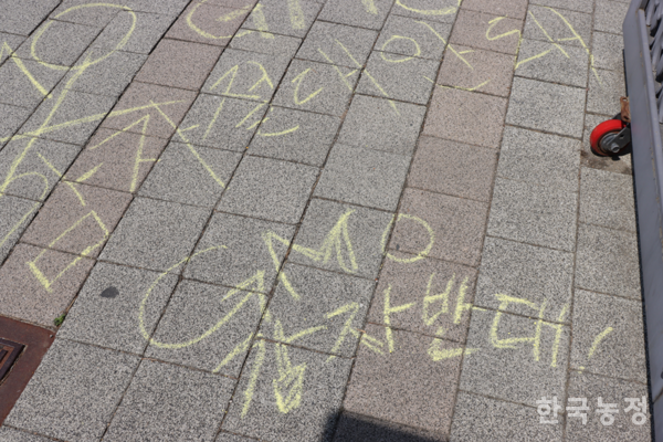 농촌진흥청의 환경위해성 심사 통과 이후 식품의약품안전처의 최종 승인 절차를 앞둔 상황에서 시민사회단체들이 지난 11일 충북 청주시 식약처 앞에서 분필로 'GMO 감자반대' 문구를 적는 상징의식을 펼쳤다.