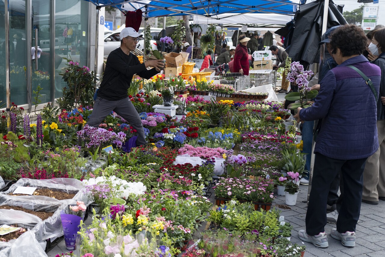 꽃을 파는 곳은 오가는 이의 발걸음 잡아끌어 문전성시를 이룬다. 꽃 한 송이를 건네는 주인장의 손길에는 봄 기운까지 흠뻑 담겨 받는 사람의 마음에도 꽃을 피운다. “꽃을 드립니다!” 예쁜 꽃 한 송이를 장바구니에 담지 않을 재간이 없다.