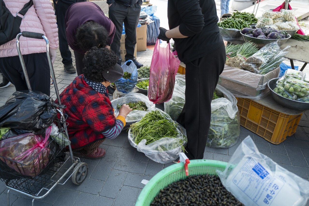 입맛을 돋구는 봄 채소들은 어르신들 장바구니에 일번으로 채워진다. 하도 비싸서 들었다 놓았다 하던 채소들도 이제 좀 살 만한 가격이 되었다.