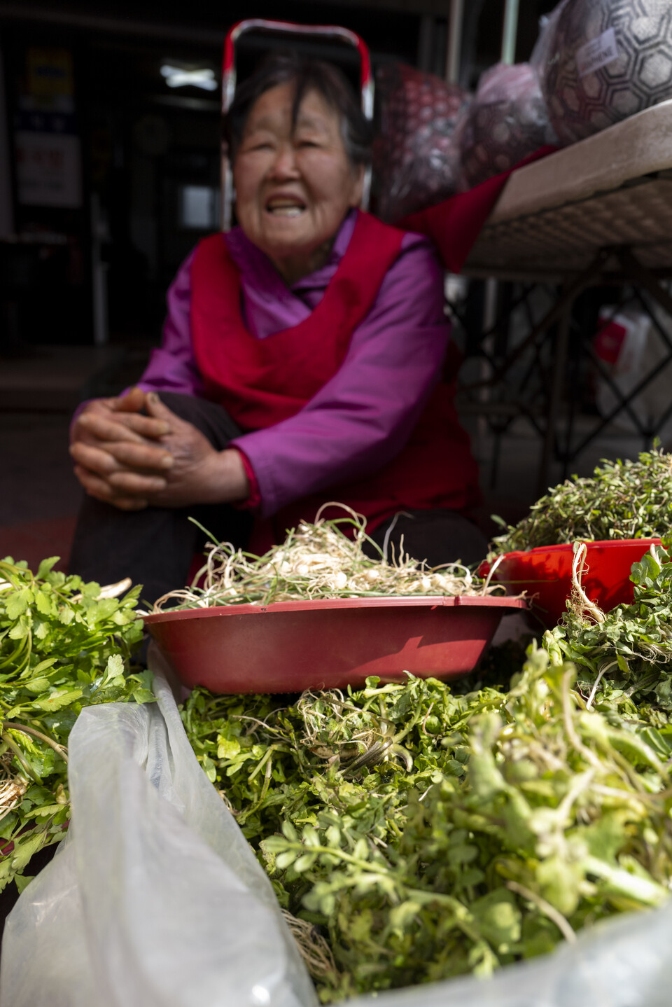 아침 일찍 서둘러 나왔을 할머니 채소장수는 시끄럽게 오가는 사람들 틈바구니에서도 까무룩 졸음이 쏟아지고, 크게 판을 벌린 노점들 사이에 손바닥 만한 자리를 구해 앉은 할머니는 새까맣게 흙때가 낀 손톱을 보여주며 직접 캔 냉이, 달래, 돌나물을 팔고 있었다. “할머니, 돌아나오면서 사러 올게요.” “다시 온다는 사람 아무 소용 없어.” 냉이 한 바구니를 보여 주며 친절히 말하던 할머니가 눈을 돌리며 하는 한 마디에 등이 따가운 채 장터 골목을 지나왔다.