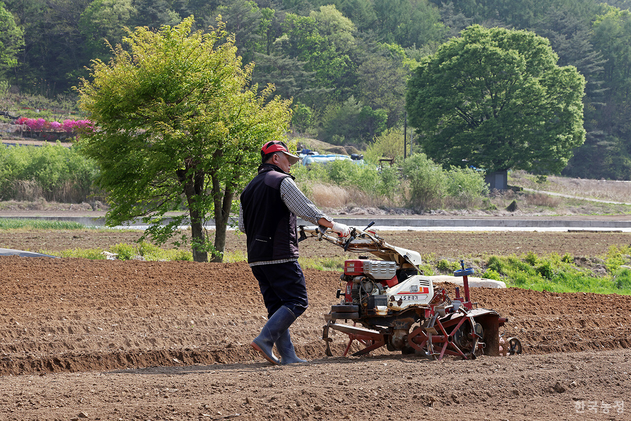 지난달 28일 충북 단양군 단성면 가산리 밭에서 한 농민이 관리기로 두둑을 만들고 있다.