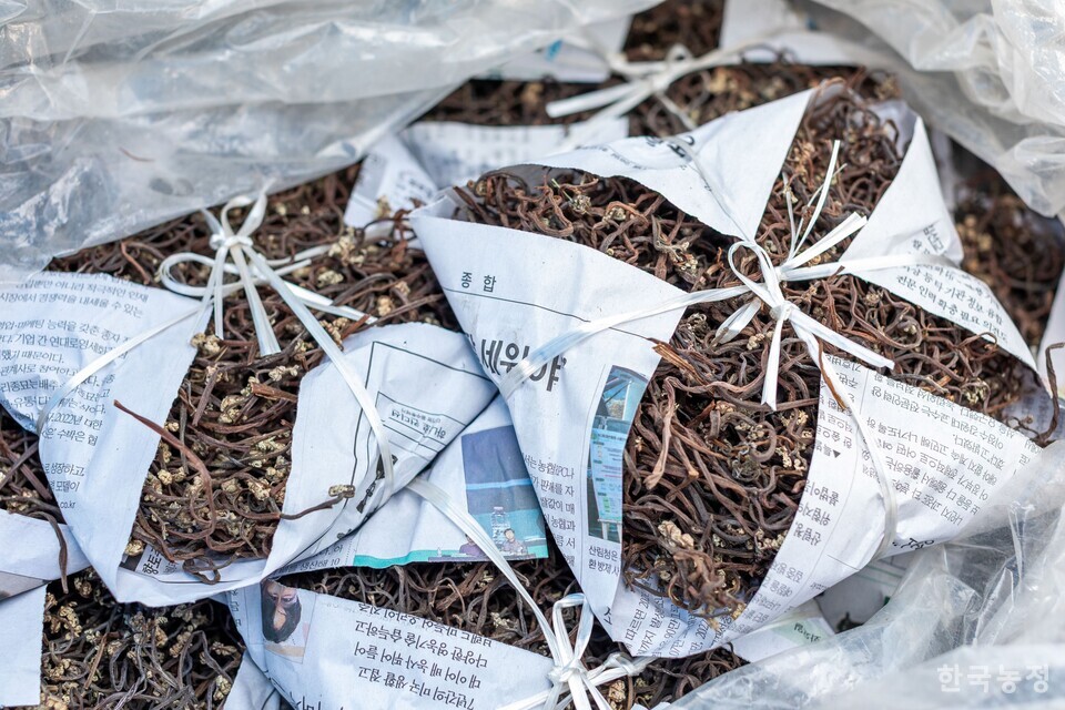 포장이 재미난 건고사리는 올해 새로 준비한 햇고사리다. 사진 류관희 작가