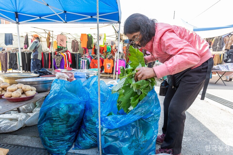 수리취는 뒷면이 솜털로 하얗게 보인다. 쉽게 굳지 않고 상하지 않는 떡이 수리취떡이다. 사진 류관희 작가