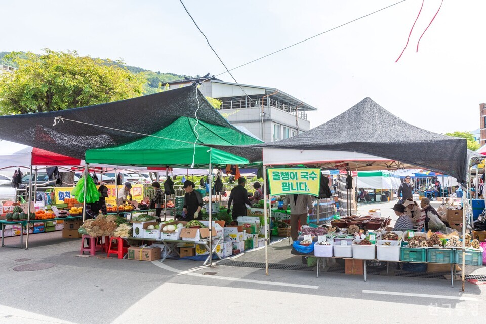 밀가루 없이 옥수수 100%로 만드는 올챙이 닮은 모양의 올챙이국수를 팔아요, 화천오일장에는. 사진 류관희 작가