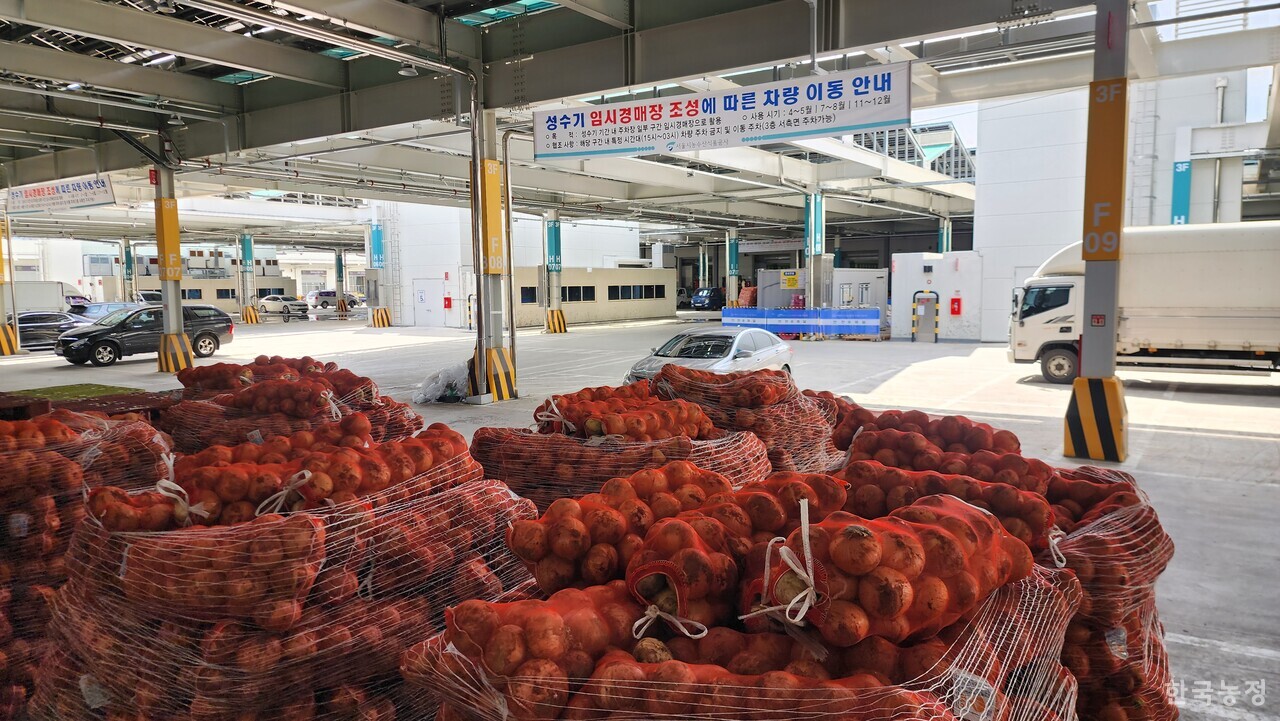 가락동농수산물도매시장 채소2동의 공간 부족 문제가 수면 위로 드러난 가운데, 서울시농수산식품공사에선 3층 주차장 공간을 경매장으로 활용할 계획이라 밝혔다. 지난 21일 가락시장 채소2동 3층 곳곳에 경매물량이 적치돼 있고 ‘성수기 임시경매장 조성에 따른 차량 이동 안내’ 현수막도 걸려 있다.