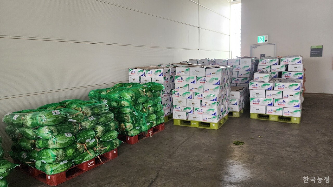 가락동농수산물도매시장 채소2동 3층 곳곳에 경매물량이 적치돼 있다.