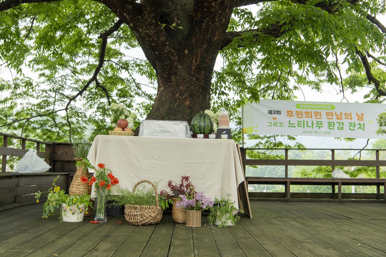 잔칫상엔 금방 쪄 낸 시루떡이 올라가고 농장에서 자라는 온갖 풀꽃이 장식됐다.