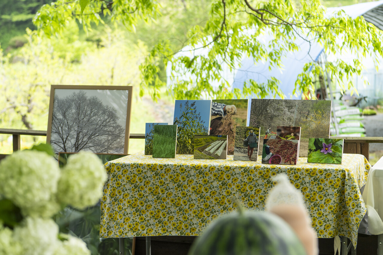 농장의 일과 풍경을 담은 사계절 사진전도 함께 열렸다.
