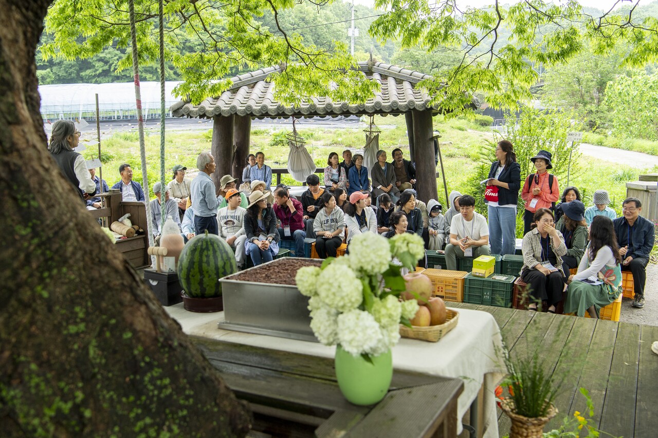 나무그늘 아래, 함께 한 사람들의 얼굴에 평화로움이 가득했다.