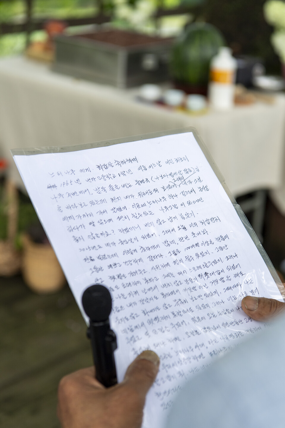 안상희 우리씨앗농장 대표가 느티나무에게 쓴 편지.