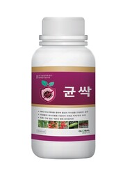 균싹. 글로벌아그로(주) 제공 