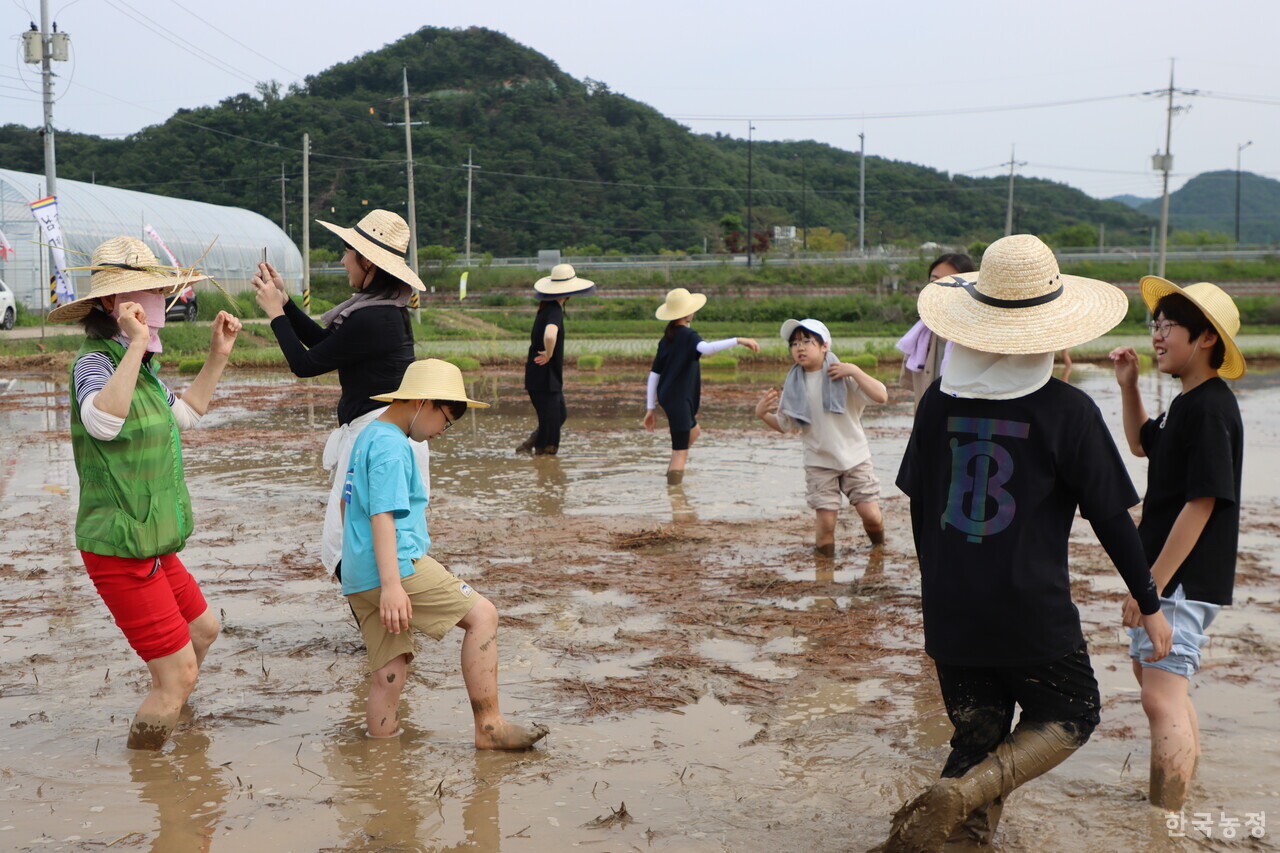 지난달 31일 농업먹거리청년모임과 임진여울영농조합법인이 개최한 도농교류 행사에 참가한 시민들이 경기도 연천군 군남면의 친환경 논에서 DJ 조성우씨의 디제잉에 맞춰 춤추고 있다.