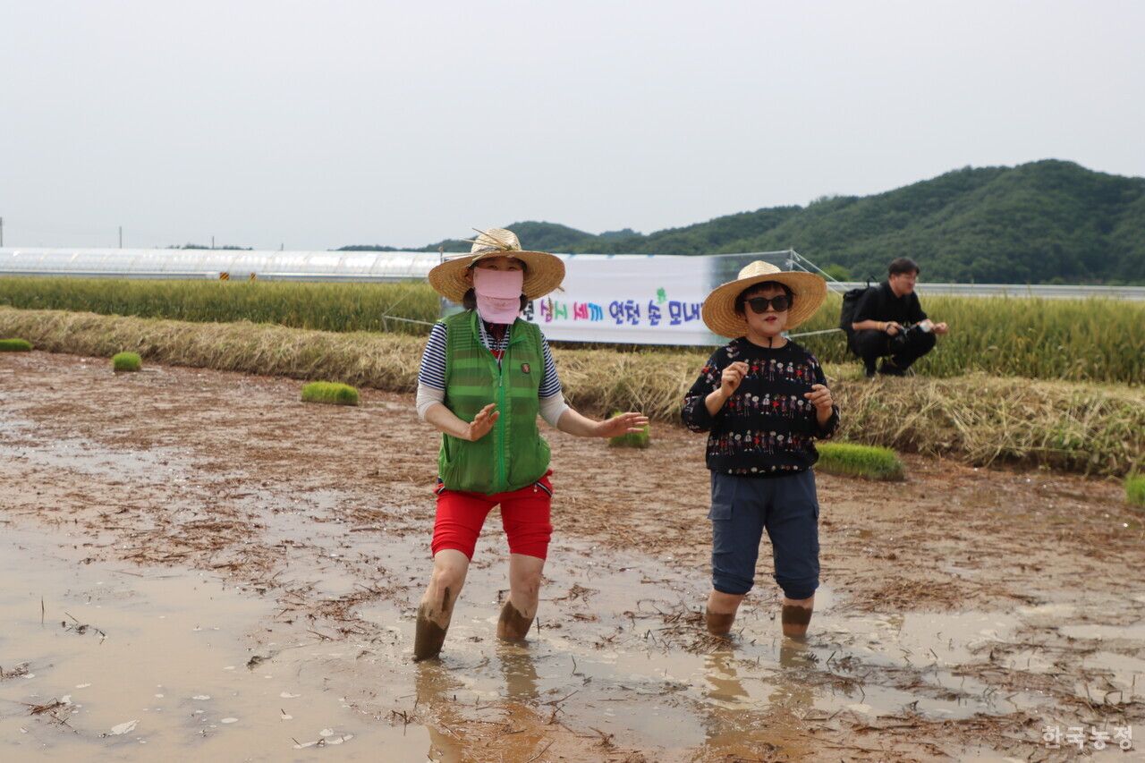 지난달 31일 농업먹거리청년모임과 임진여울영농조합법인이 개최한 도농교류 행사에 참가한 시민들이 경기도 연천군 군남면의 친환경 논에서 DJ 조성우씨의 디제잉에 맞춰 춤추고 있다.