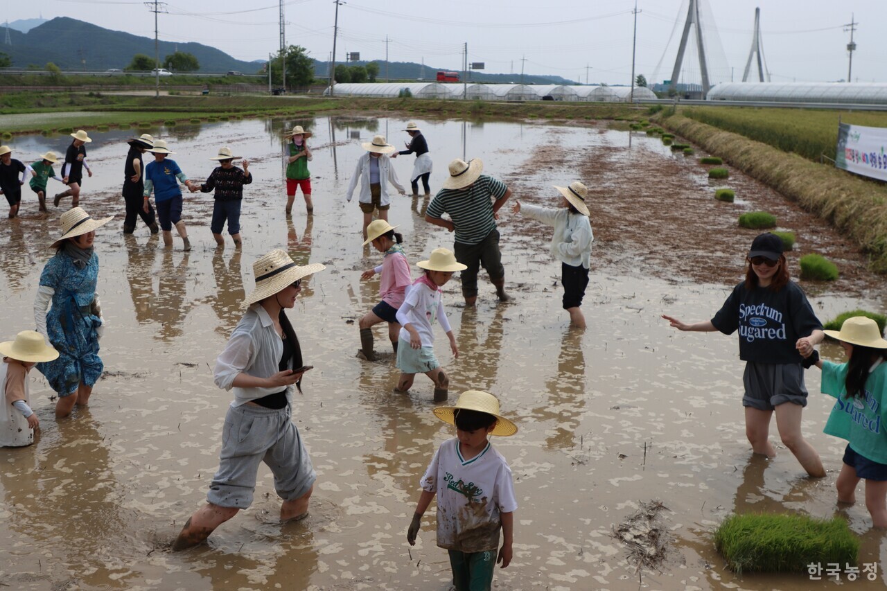 지난달 31일 농업먹거리청년모임과 임진여울영농조합법인이 개최한 도농교류 행사에 참가한 시민들이 경기도 연천군 군남면의 친환경 논에서 DJ 조성우씨의 디제잉에 맞춰 춤추는 등 다양한 방식으로 논을 만끽하고 있다.