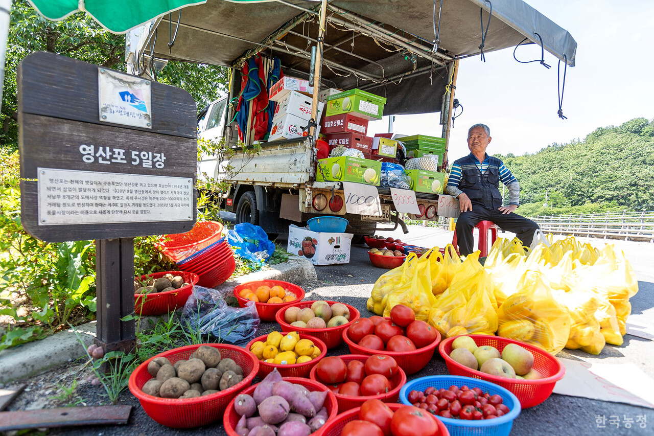 영산포오일장 안내판 앞에서 오일장의 역사와 시장 상황을 알려주는 과일 파는 상인. 류관희 작가