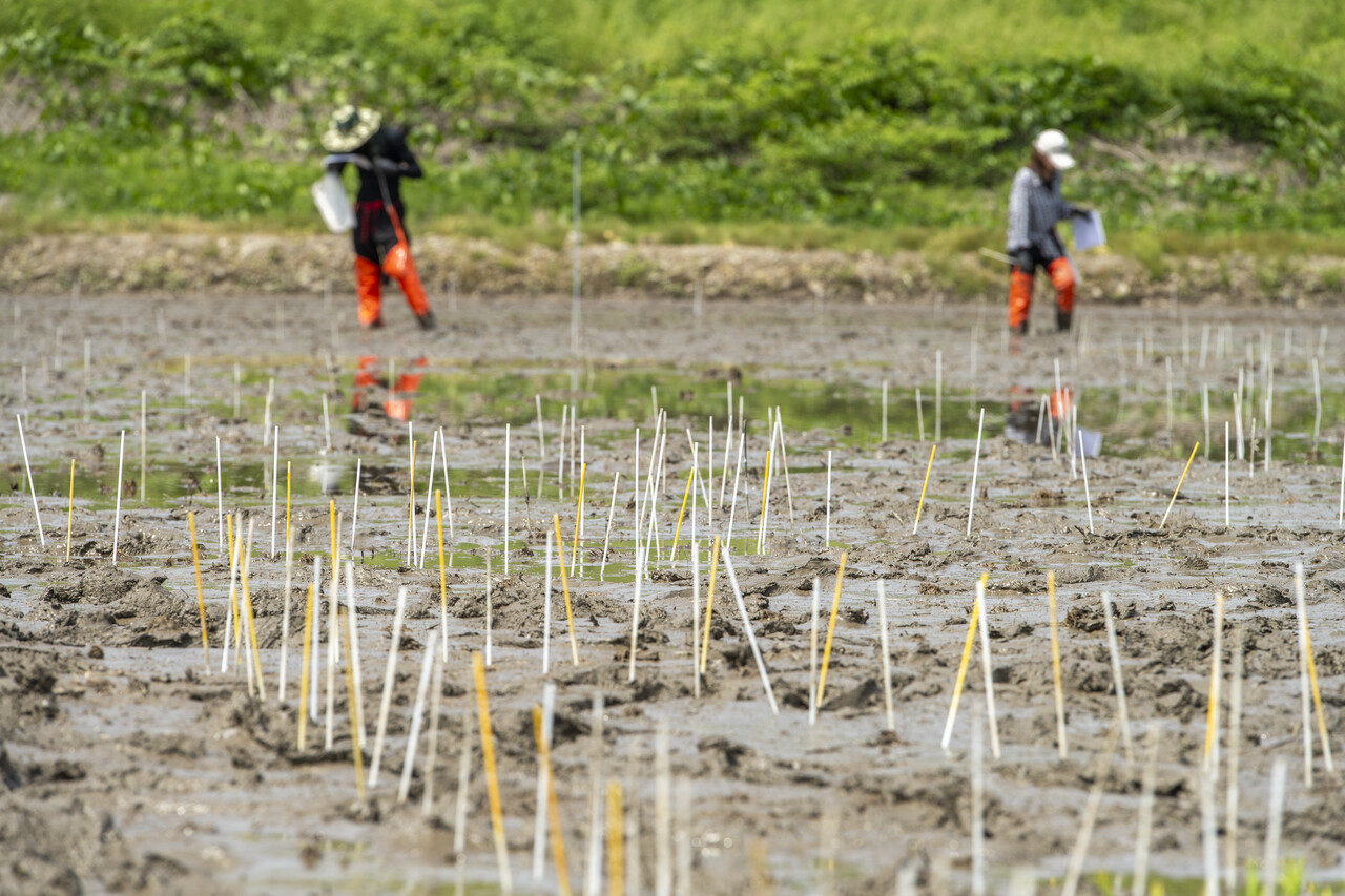 이게 정말 그림이 될까? 걱정이 이만저만이 아니다.
