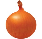 스트라이크골드양파. 팜한농 제공