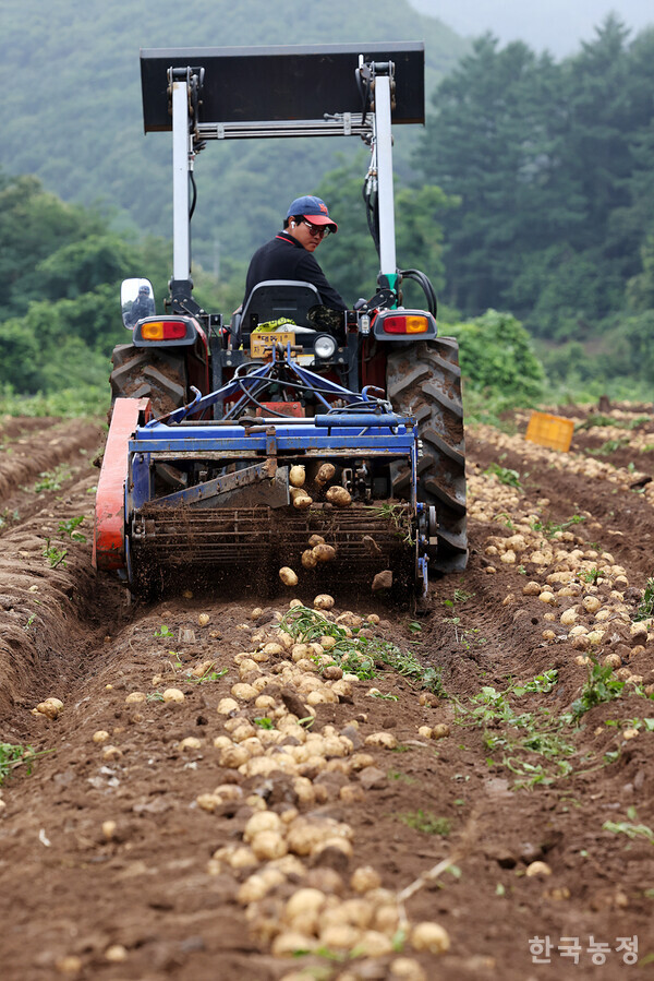 한 농민이 트랙터에 매단 땅속 작물 수확기로 감자를 캐고 있다.