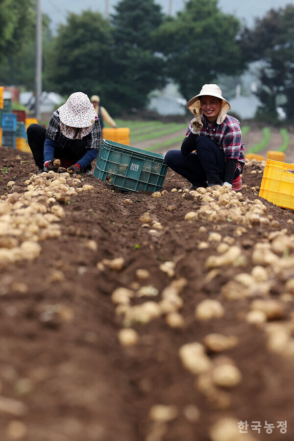 기자와 눈이 마주친 한 외국인노동자가 일손을 멈춘 뒤 밝게 미소 짓고 있다.