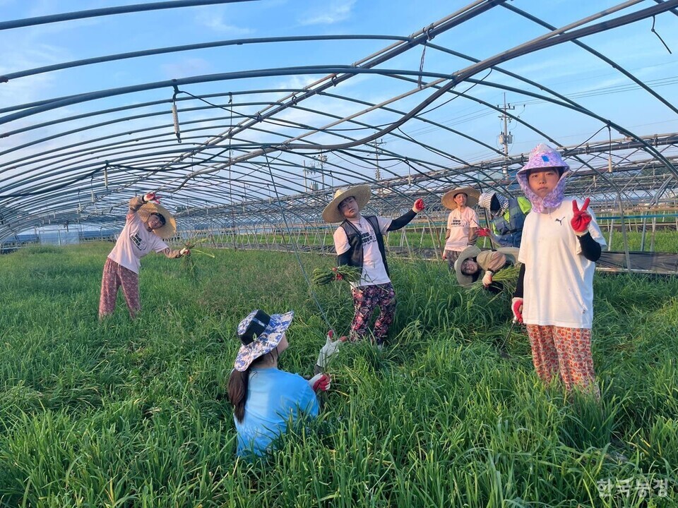 전국농민회총연맹 부산경남연맹과 진보대학생넷 경남넷 농활대 학생 60여명이 경남 함안, 의령에서 지난 1일부터 3박 4일간 ‘남태령에서 식량주권으로’라는 기치로 농활을 진행했다. 