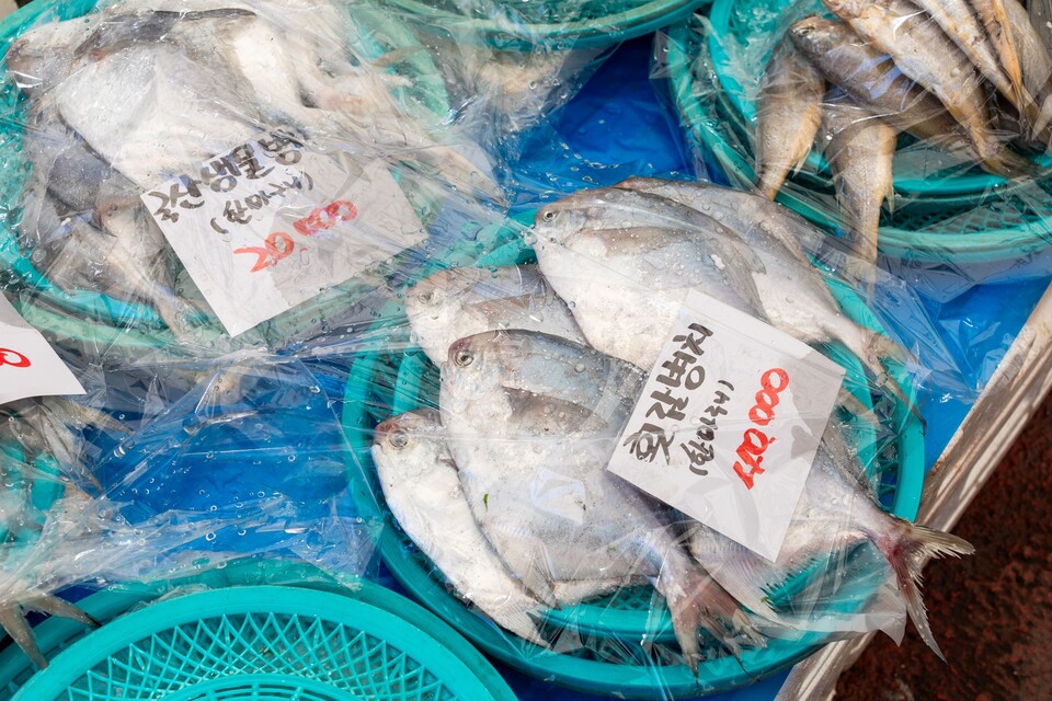 횟감이라고 할 수 있을만큼 신선한 병어가 한 무더기 3만원이다.  류관희 작가
