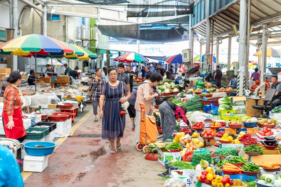 온갖 여름의 색깔들로 가득한 화순오일장.  류관희 작가