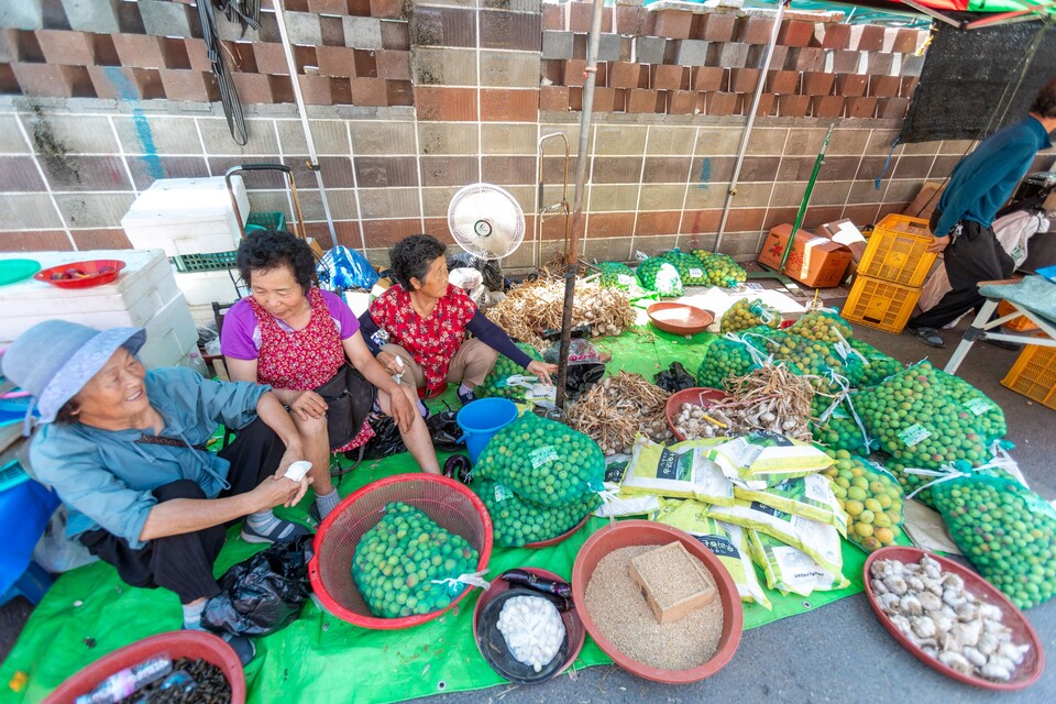 매실 파시며 이제 끝물이라 퇴기 같은 모습이라고 하셨다.  류관희 작가