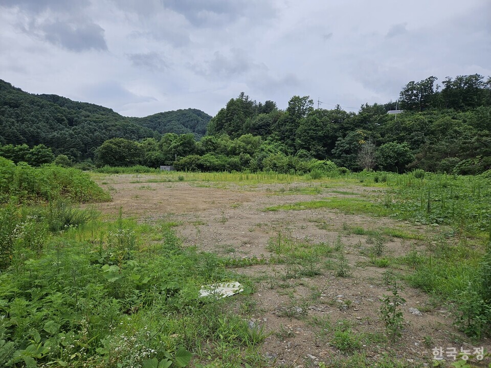 경기도 양평군 단월면 일원에 있는 (주)오가그레인의 제분소 건립 예정 부지 . 