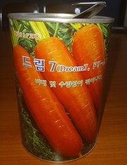 당근 대표 품종 '드림7'. 현승용 구좌읍농민회 사무국장 제공