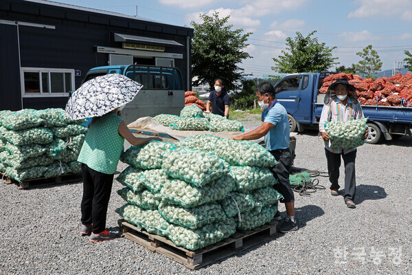 ‘군급식기본법’이 지난 22일 공포된 가운데 군급식에 사용될 식재료의 품질관리기준을 친환경급식을 시행하고 있는 학교급식 수준으로 강화해야 한다는 지적이 나오고 있다. 친환경 농민들이 군급식에 납품할 마늘을 팔레트에 쌓고 있다. 한승호 기자
