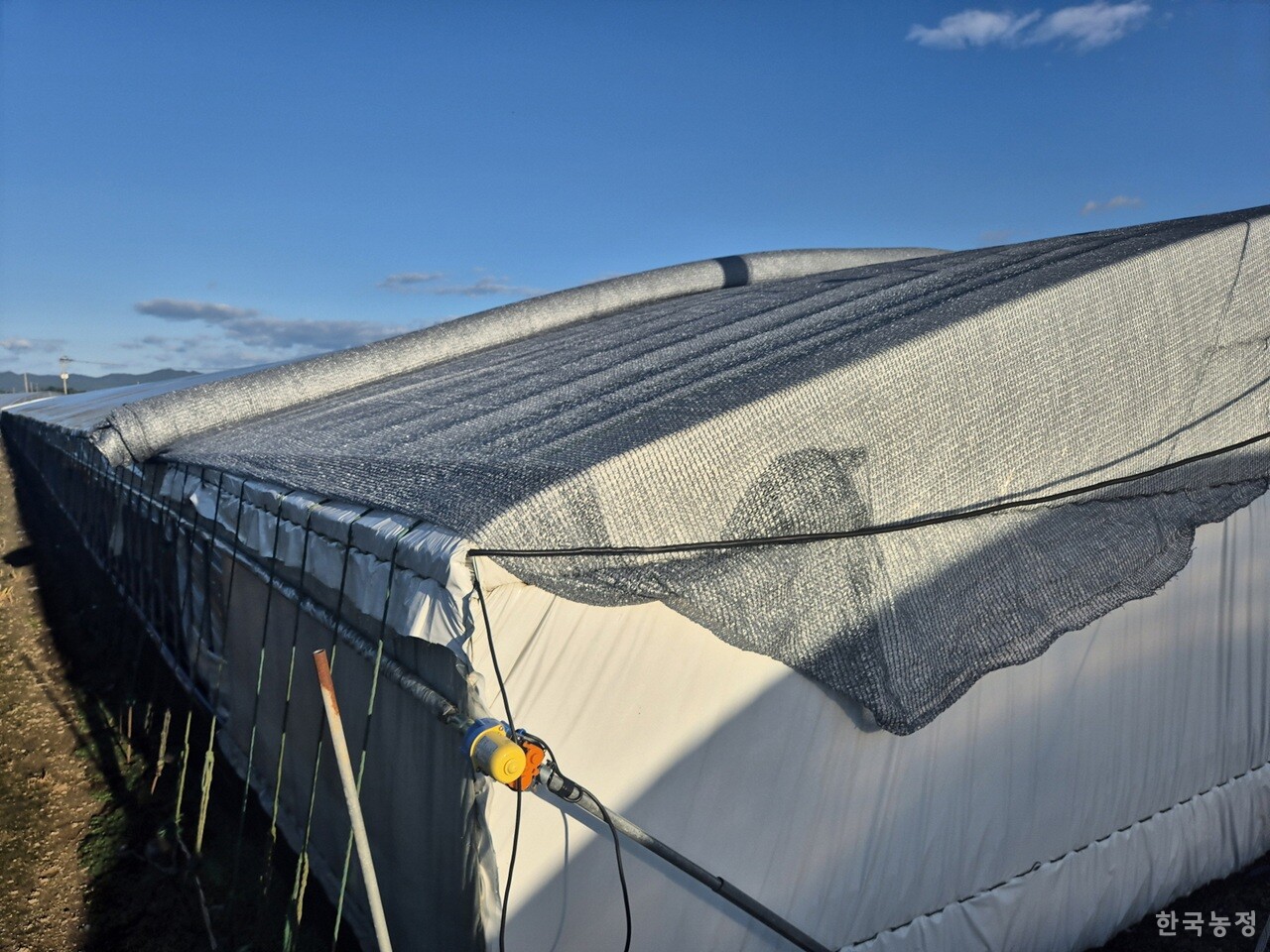 전라남도가 고온 민감 작물 피해 최소화 등을 위해 ‘시설원예 생산비 절감 지원사업’을 추진한다. 폭염 대응 목적으로 차광막을 설치한 시설하우스 모습. 전라남도 제공