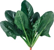 다크그린. 동오시드 제공