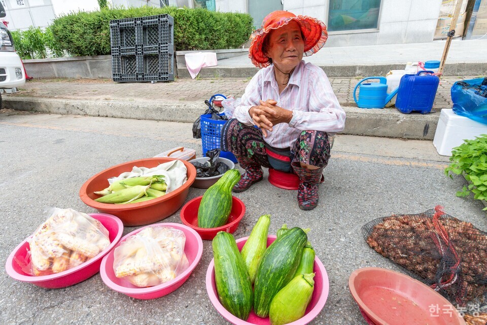 비 오면 비가 와서 해가 뜨면 해가 뜬다고 걱정하게 만드는 파라솔 하나 없는 오일장 난전의 상인. 사진 류관희 작가