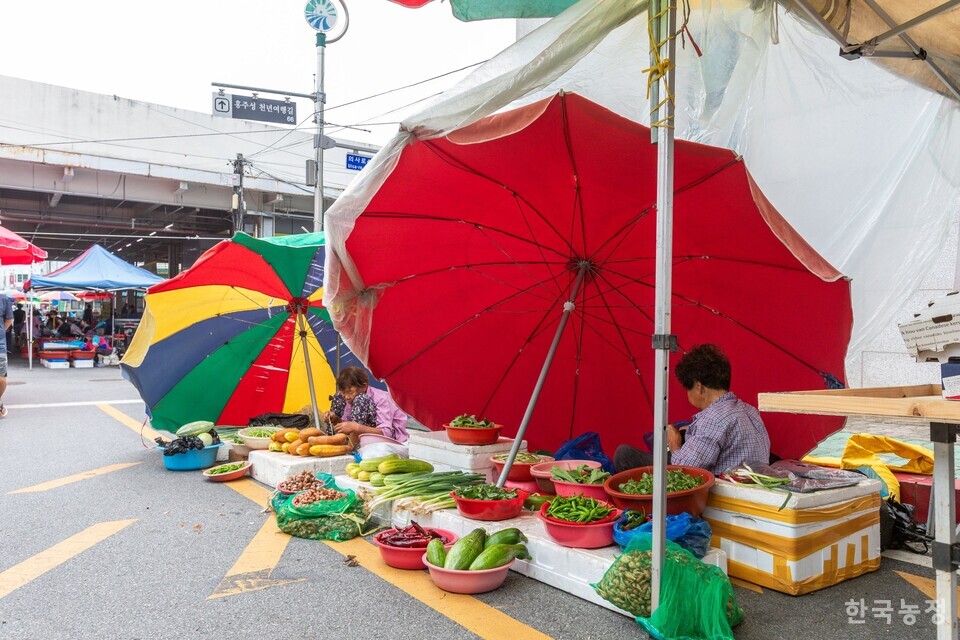 입추가 지났다지만 여전히 파라솔 그늘이 필요한 오일장 난전의 상인들. 사진 류관희 작가