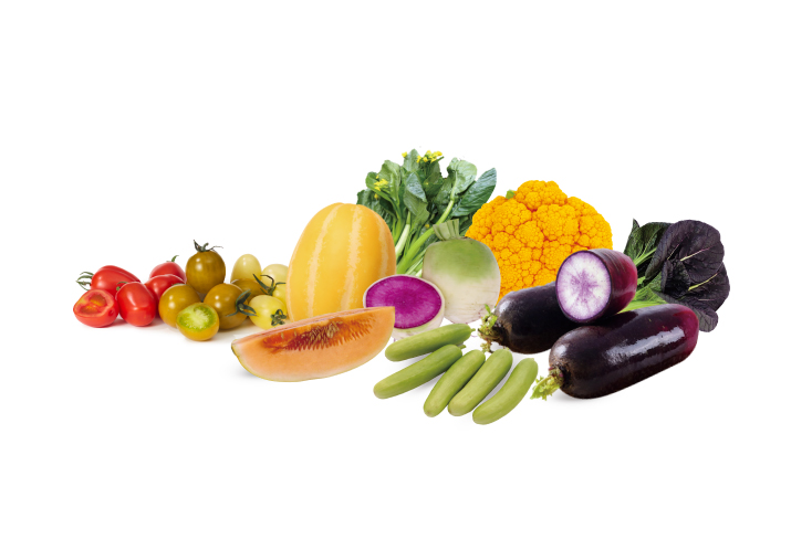 비채 브랜드 채소들. 현대백화점 압구정점과 판교점에서 비채 대표 상품을 오는 31일까지 판매한다. 팜한농 제공