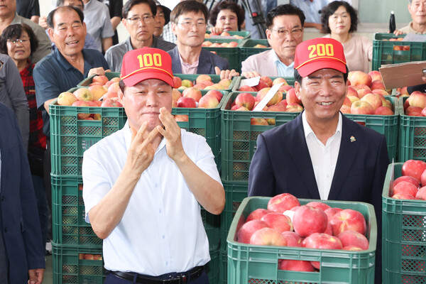 경상남도가 지난 22일 거창군 사과원예농협 청과물종합처리장에서 ‘2025년산 거창 홍로사과 초매식’을 열고 본격적인 출하를 알렸다. 경상남도 제공