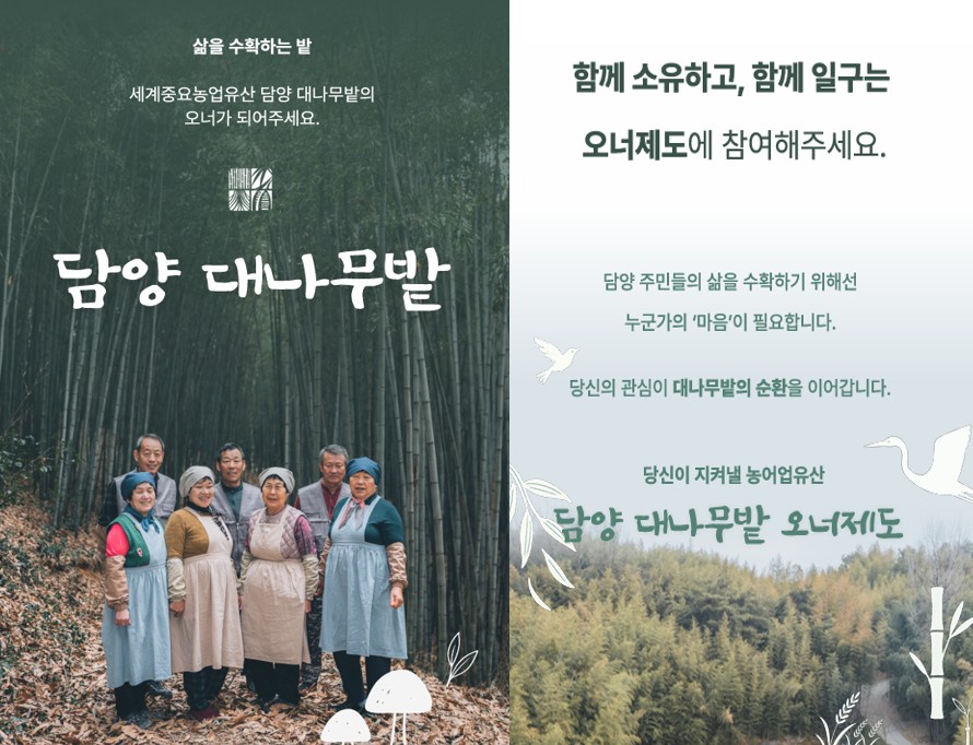 전라남도 담양군이 세계중요농업유산이자 제4호 국가중요농업유산인 ‘담양 대나무밭’을 지키기 위한 프로젝트의 일환으로 ‘담양 대나무밭 크라우드 펀딩’을 시작한다. 담양군 제공