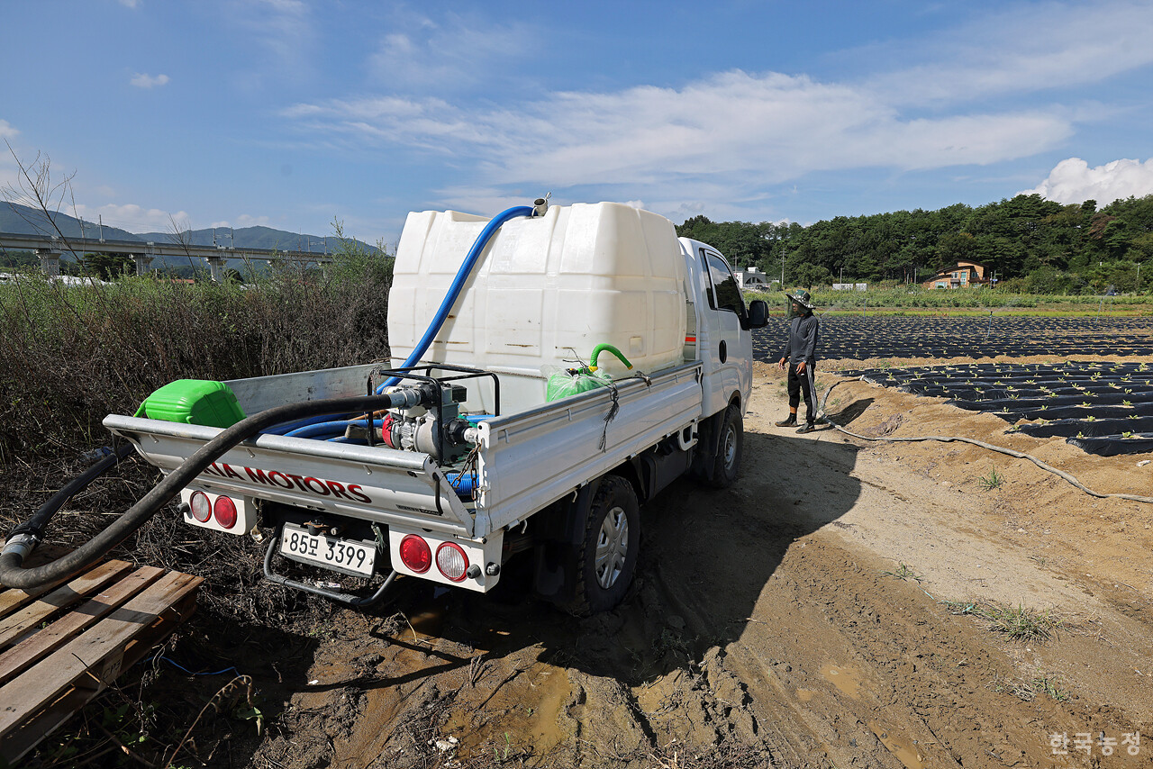 한 외국인노동자가 급수통을 사용해 배추밭에 물을 주고 있다.