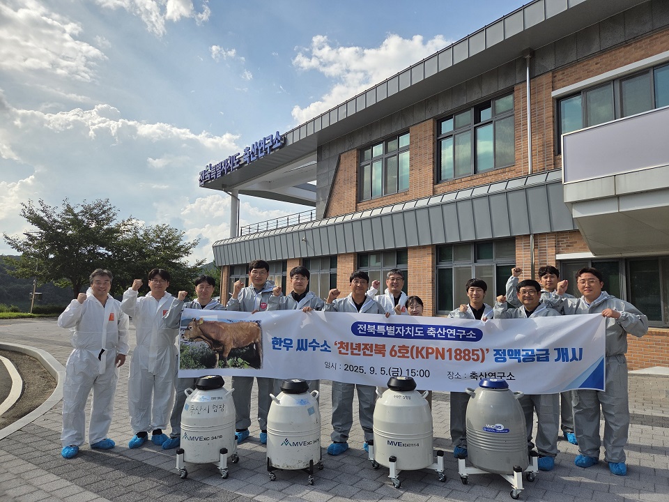 전북특별자치도가 지난 5일 전국 지자체 최초로 자체 생산한 한우 씨수소 정액을 도내 농가에 무상 공급하기 시작했다. 전북특별자치도 제공