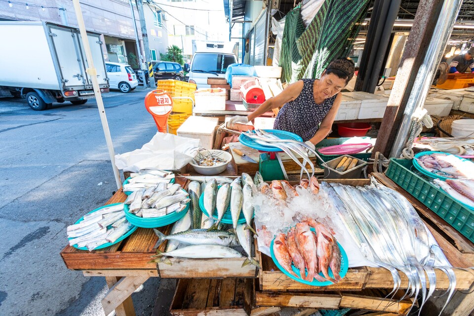 날아오를 것처럼 싱싱한 제주의 제철생선들. 류관희 작가