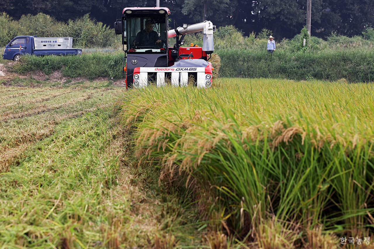 9월 중순에 접어들며 본격적인 추수 시기가 다가온 가운데 지난 15일 경기 여주시 세종대왕면 들녘에서 농민들이 콤바인으로 벼를 수확하며 가을걷이에 나서고 있다. 한승호 기자