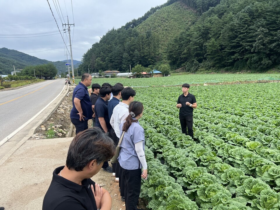 SG한국삼공 직원들이 지난 12일 강원도 평창군 배추 시험포장에서 신제품 적용 상태를 확인하고 있다. SG한국삼공 제공 