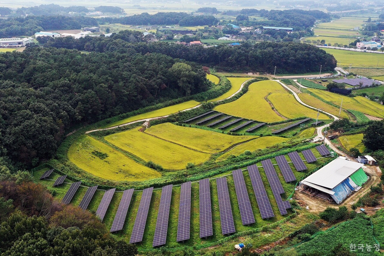 이재명정부가 농촌 태양광 정책에 속도를 올리려 하지만, 그 안정성엔 여전히 의문이 따라붙고 있다. 사진은 농지를 전용해 설치한 경기 여주 구양리의 마을 태양광. 농촌 태양광의 선구적 모델로 꼽히는 마을임에도, 건전한 확산 가능성엔 우려가 제기된다. 한승호 기자