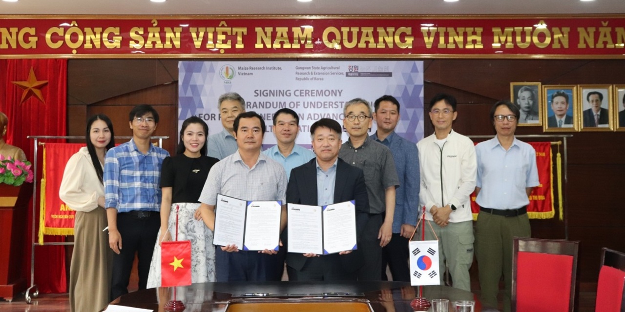 강원특별자치도 농업기술원이 지난 22일 베트남 하노이의 국립옥수수연구소와 옥수수 육종 효율 제고를 위한 업무협약(MOU)를 체결했다. 강원특별자치도 농업기술원 제공