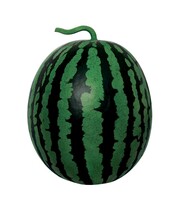 맘모스꿀수박. 팜한농 제공