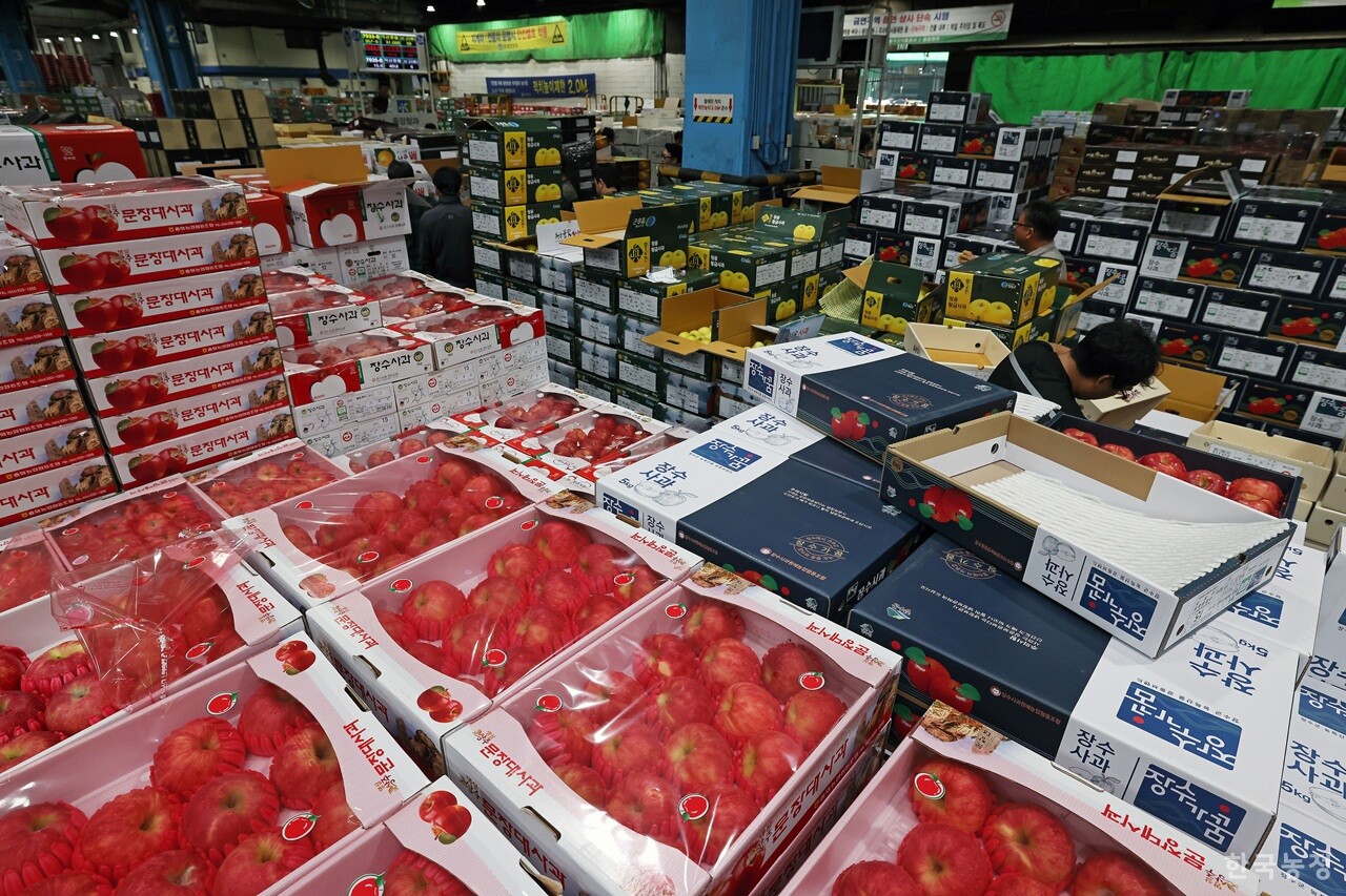 이재명정부 출범 이후 농산물 유통구조에 대한 개혁 논의가 급물살을 타고 있다. 추석 명절 연휴를 사흘 앞둔 지난달 30일 서울 송파구 가락동농수산물도매시장 경매장에서 성수품인 사과·배 경매가 진행되고 있다. 한승호 기자