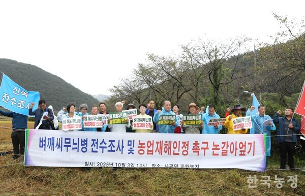 지난 3일 전국농민회총연맹 광주전남연맹과 (사)전국쌀생산자협회 광주전남본부 회원 30여명이 벼 깨씨무늬병 전수 조사 및 농업재해 인정을 촉구하며 기자회견과 논 갈아엎기 투쟁을 진행했다. 윤병구 기자