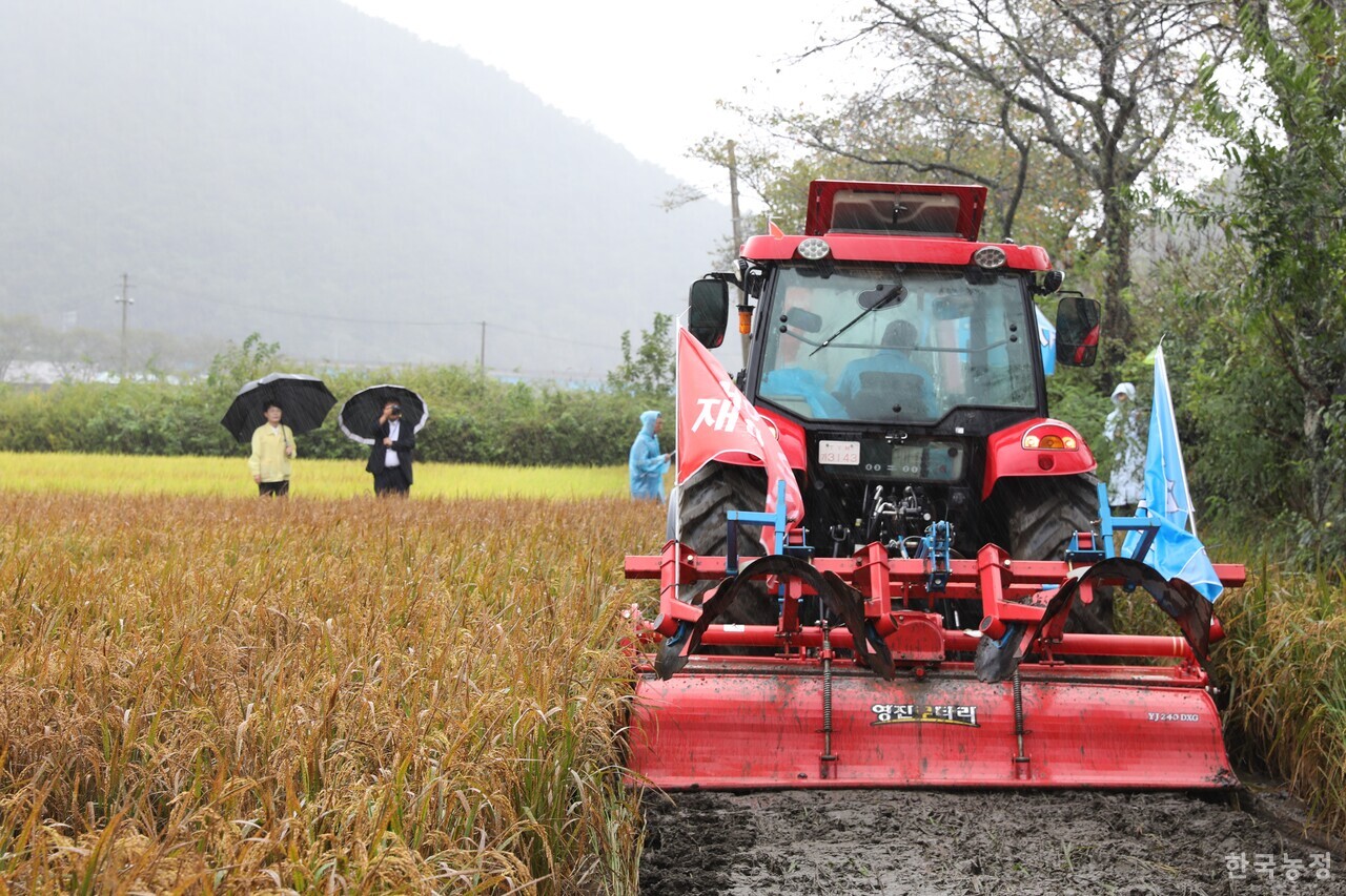 지난 3일 전국농민회총연맹 광주전남연맹과 (사)전국쌀생산자협회 광주전남본부 회원 30여명이 벼 깨씨무늬병 전수 조사 및 농업재해 인정을 촉구하며 논을 갈아엎었다. 윤병구 기자